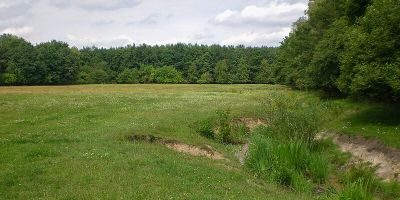 Langwasser