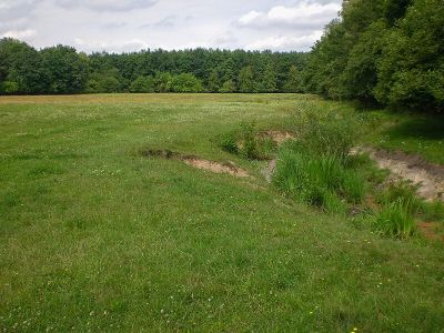 Langwasser