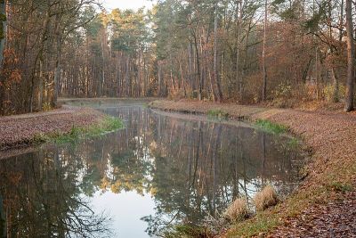 Ludwig-Donau-Main-Kanal (Südost 2)