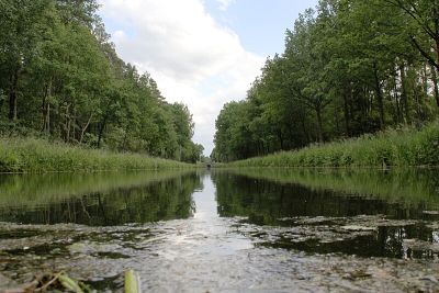 Ludwig-Donau-Main-Kanal (Süd 7)