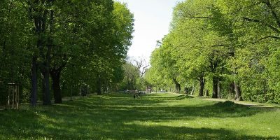Ludwig-Donau-Main-Kanal (Süd 6)