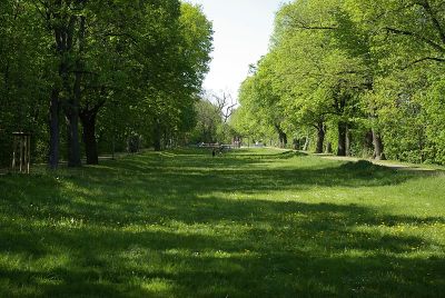 Ludwig-Donau-Main-Kanal (Süd 6)