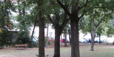 Margarete-Tanner-Park