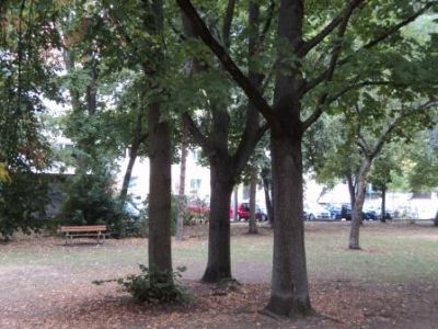 Margarete-Tanner-Park