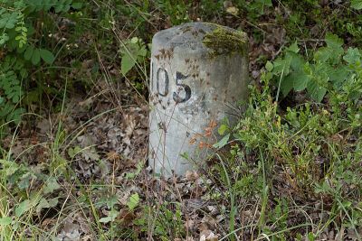 Treidelstein 105