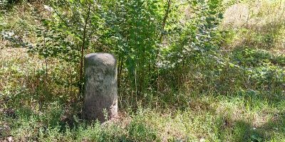 Treidelstein 108