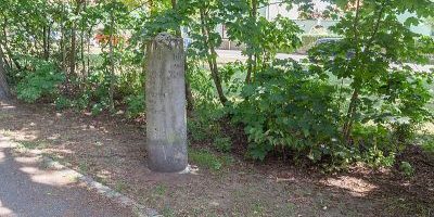 Treidelstein 110