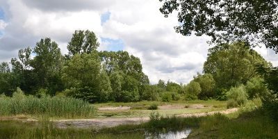 Volkspark Marienberg