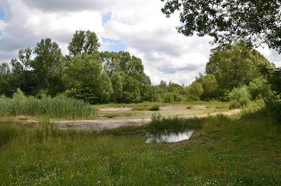 Volkspark Marienberg