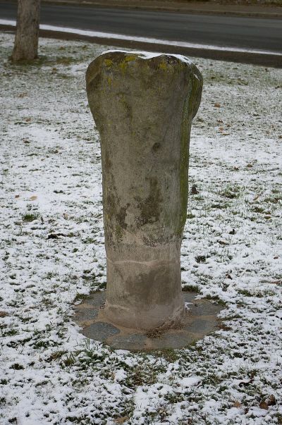 Wolfsmantelmarter