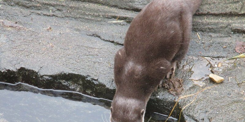 SEA LIFE Oberhausen