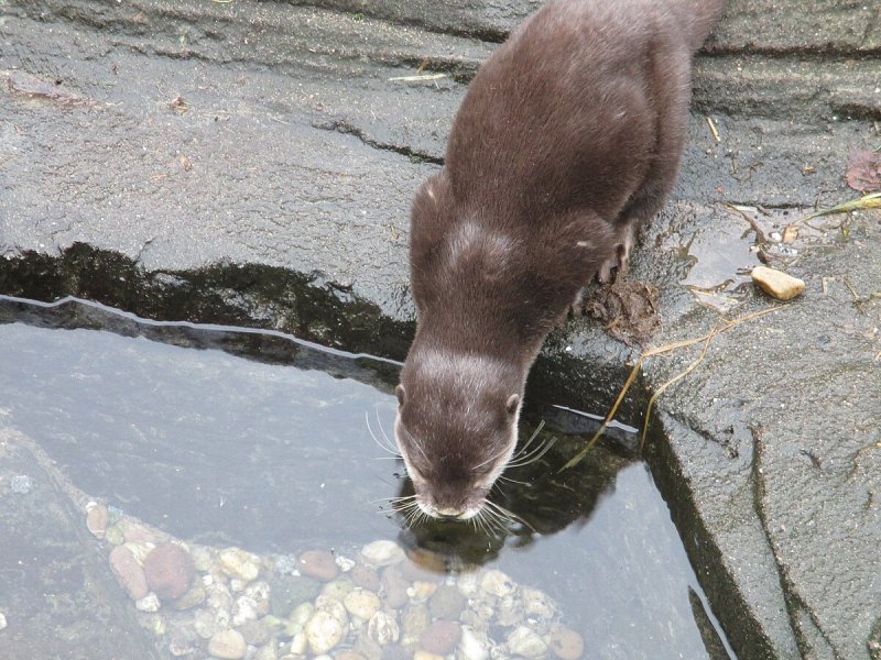 SEA LIFE Oberhausen