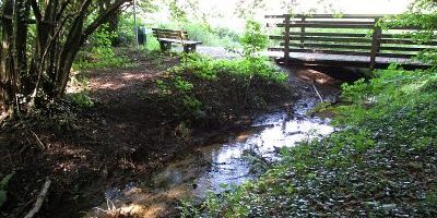 Sterkrader Wald
