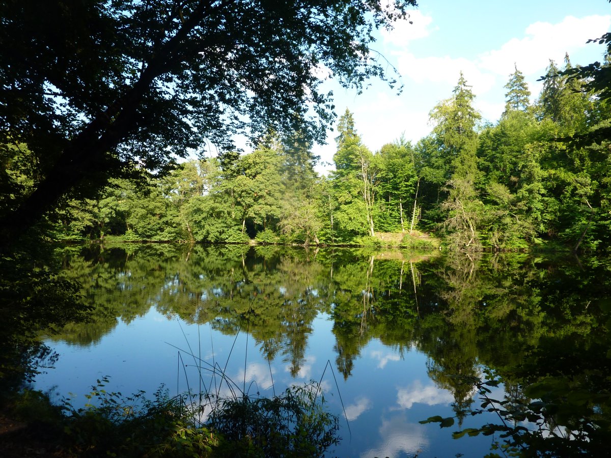Buchrainweiher