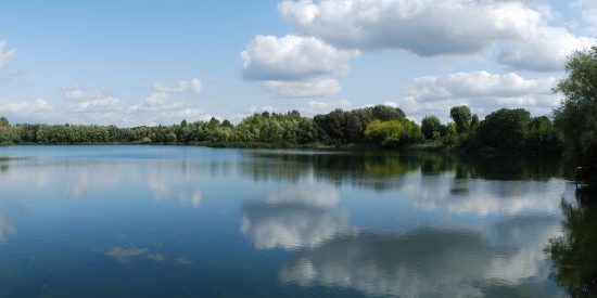 Schultheis-Weiher