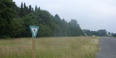 Alexanderheide