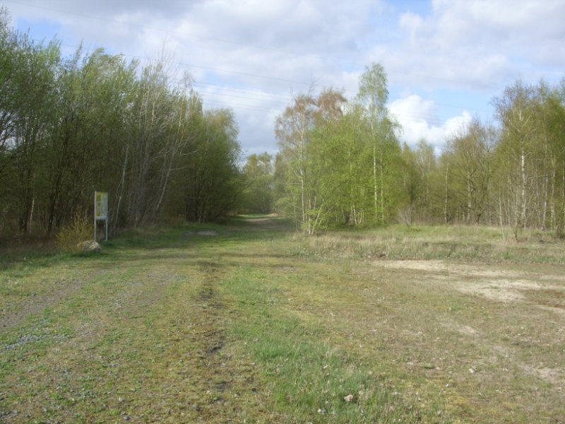 Bahndammgelände Krusenbusch