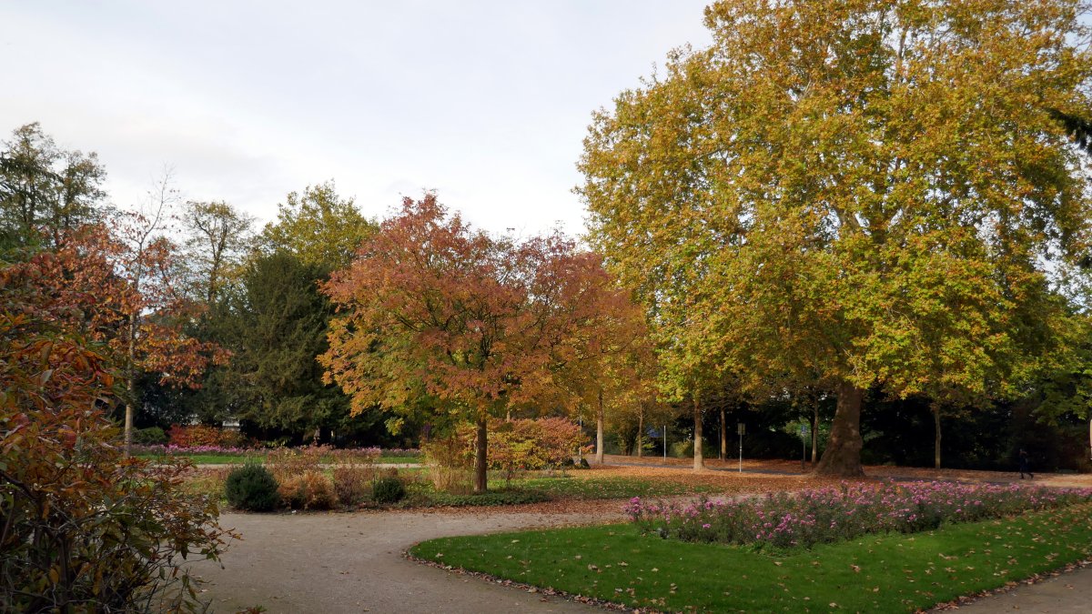 Cäcilienplatz