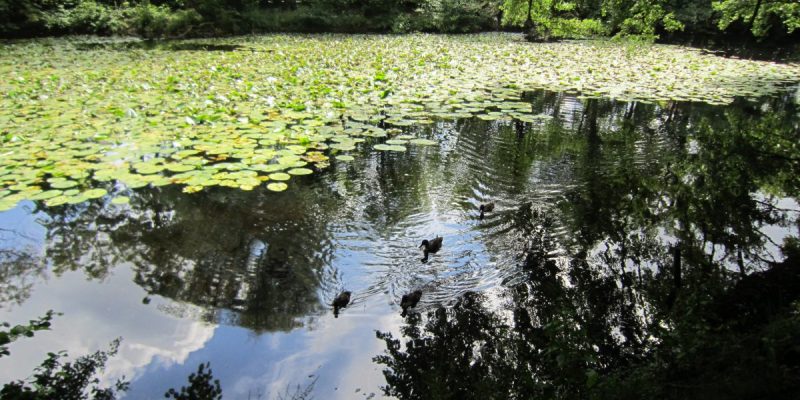 Nachkriegsarchitektur in Oldenburg — Spaziergang II