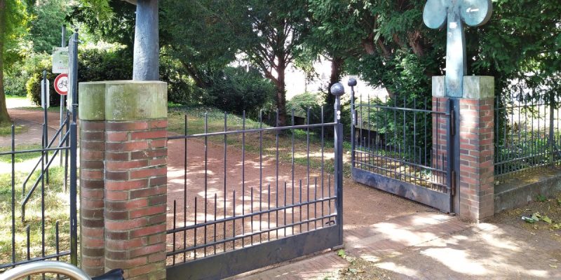 Geteilter Baum