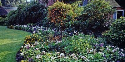 Schlossgarten