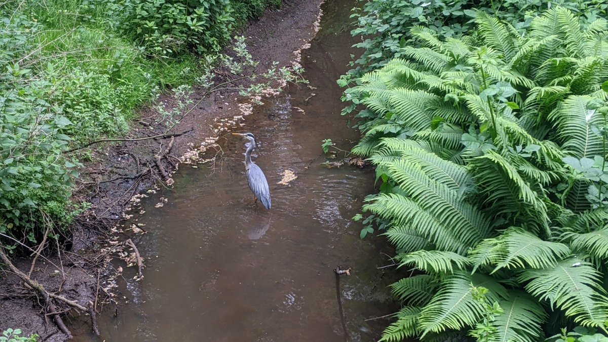 Unikino GEGENLICHT