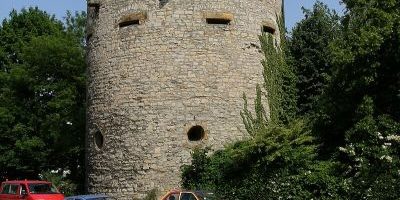 Bürgergehorsam