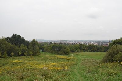 Ziegenbrink