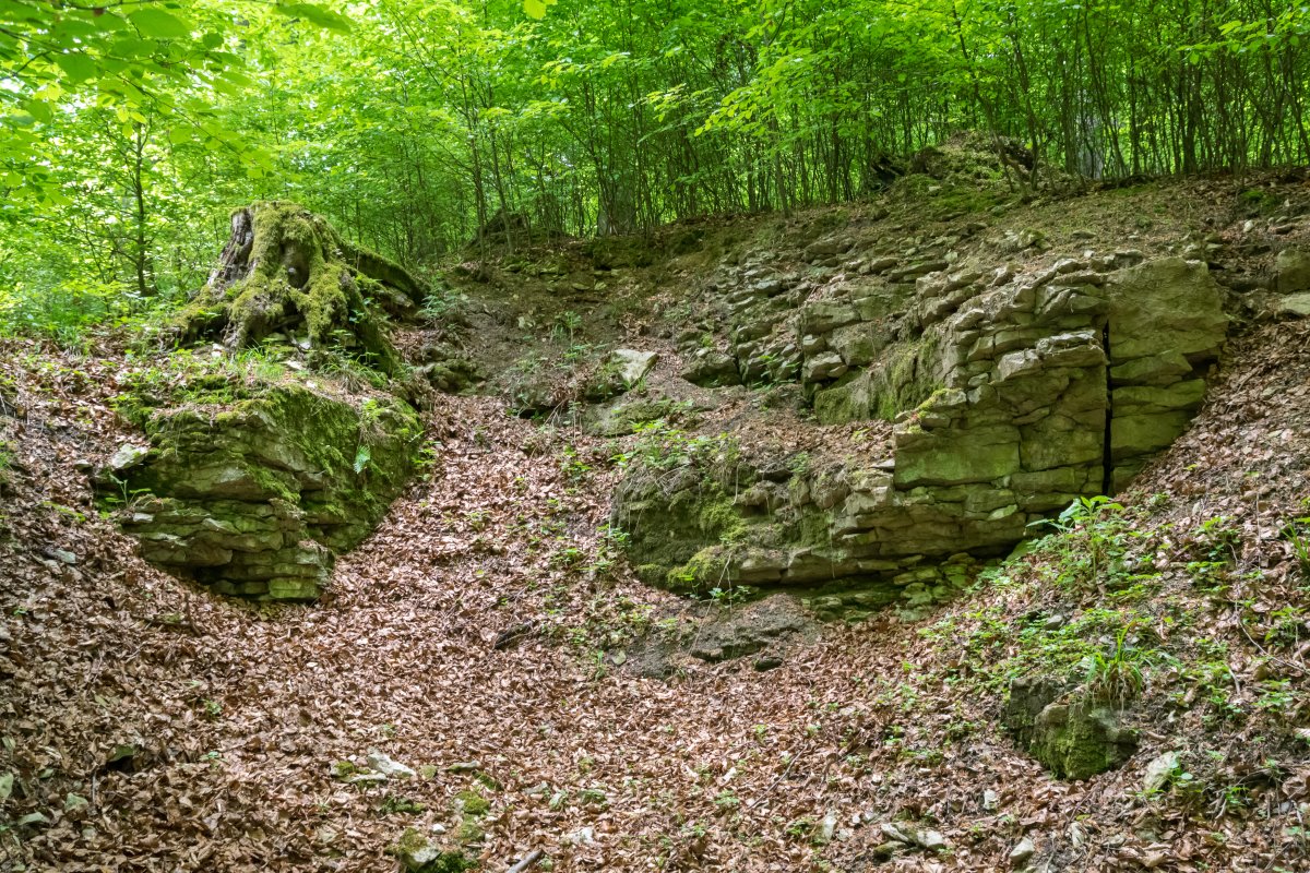 Egge-Nord (Ost)