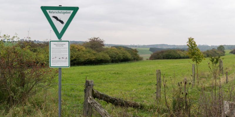 Ellerbachtal
