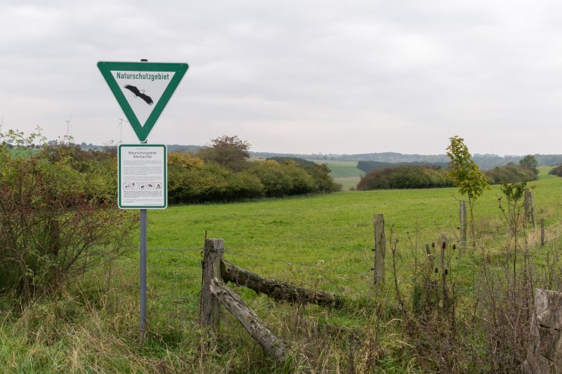 Ellerbachtal