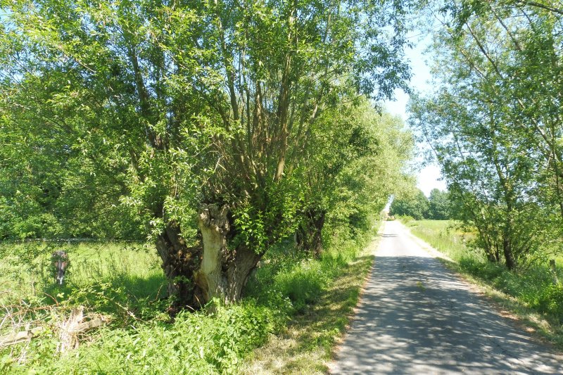 Elser Holz - Rottberg