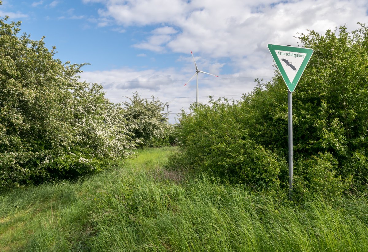 Gottegrund