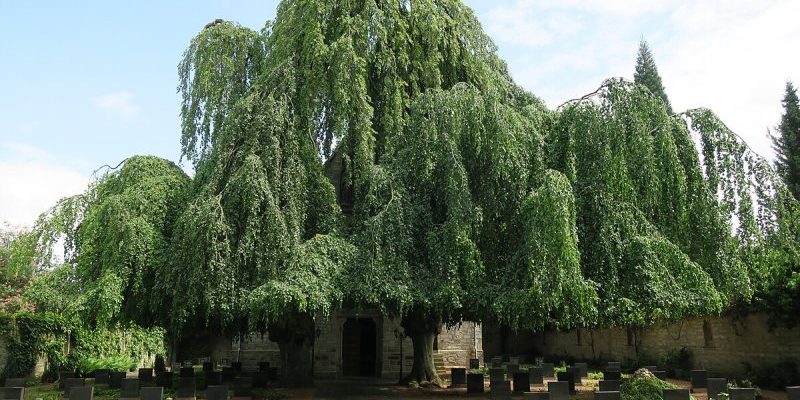 Kirchen in Paderborn — Spaziergang II