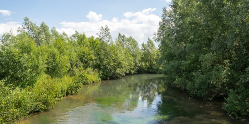 Lippe bei Sande
