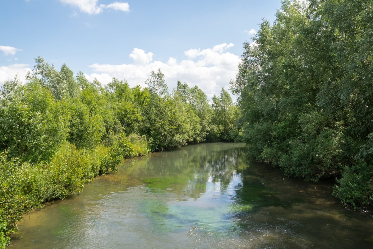 Lippe bei Sande