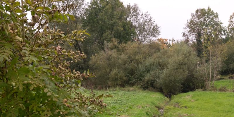 Lippeniederung zwischen Bad Lippspringe und Mastbruch