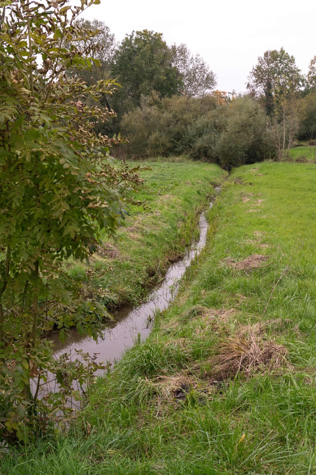 Lippeniederung zwischen Bad Lippspringe und Mastbruch