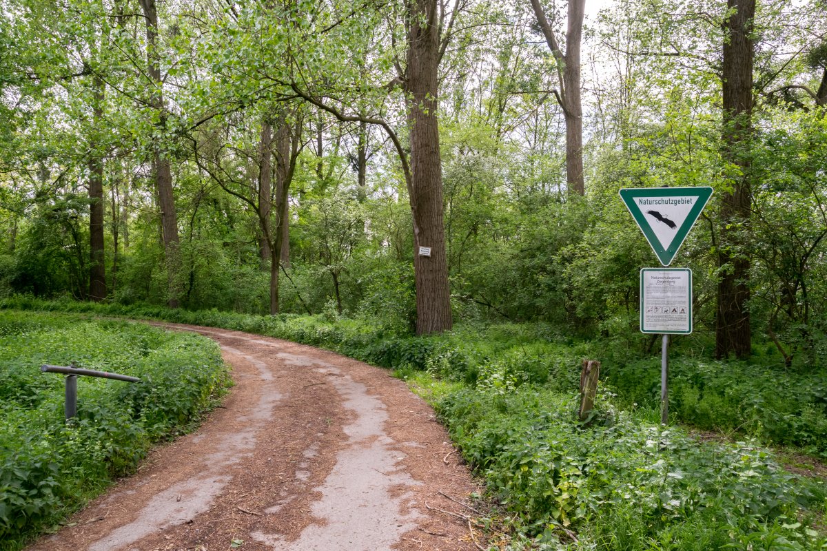 Ziegenberg (Südwest 2)