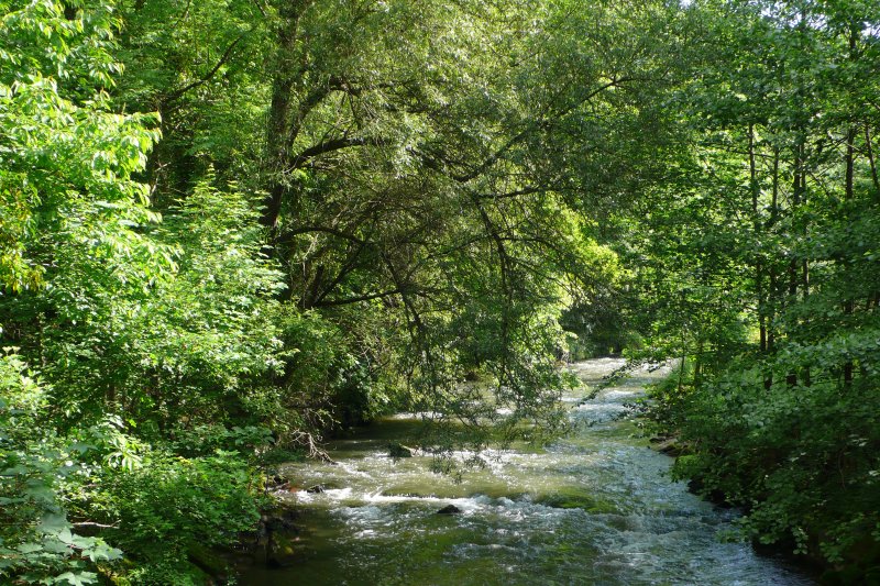 Unteres Würmtal