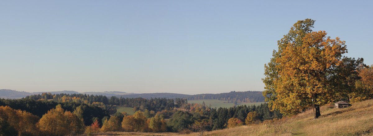 Großer Weidenteich