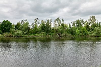 Falkenrehder Wublitz
