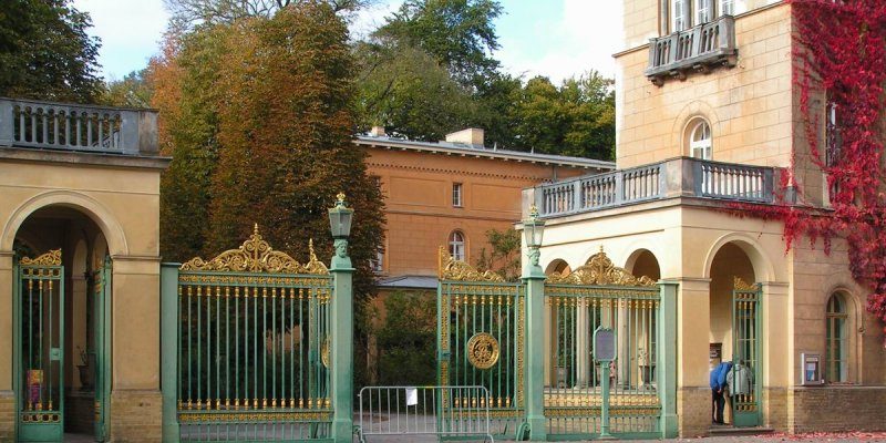 Grünes Gitter