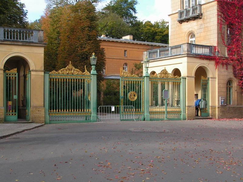 Grünes Gitter