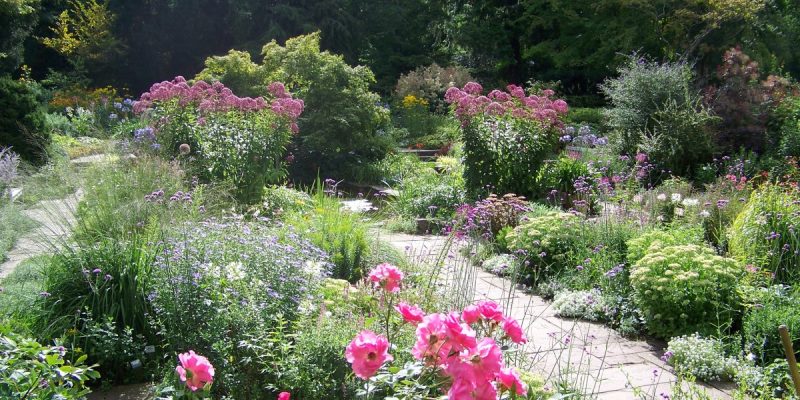 Karl-Foerster-Garten
