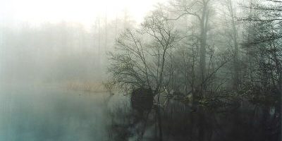 Sacrower See und Königswald