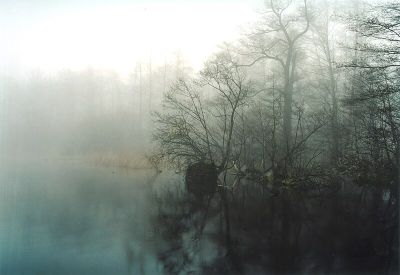 Sacrower See und Königswald