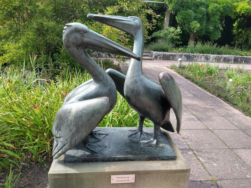 Wassergarten