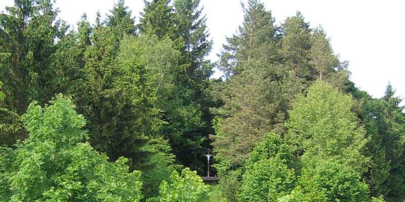 Burg Schmalegg
