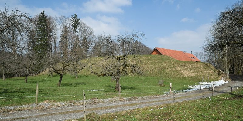 Ringgenburg